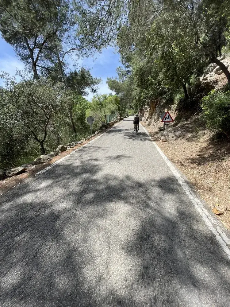 Coll des grau cami des correu forest cycling route photo