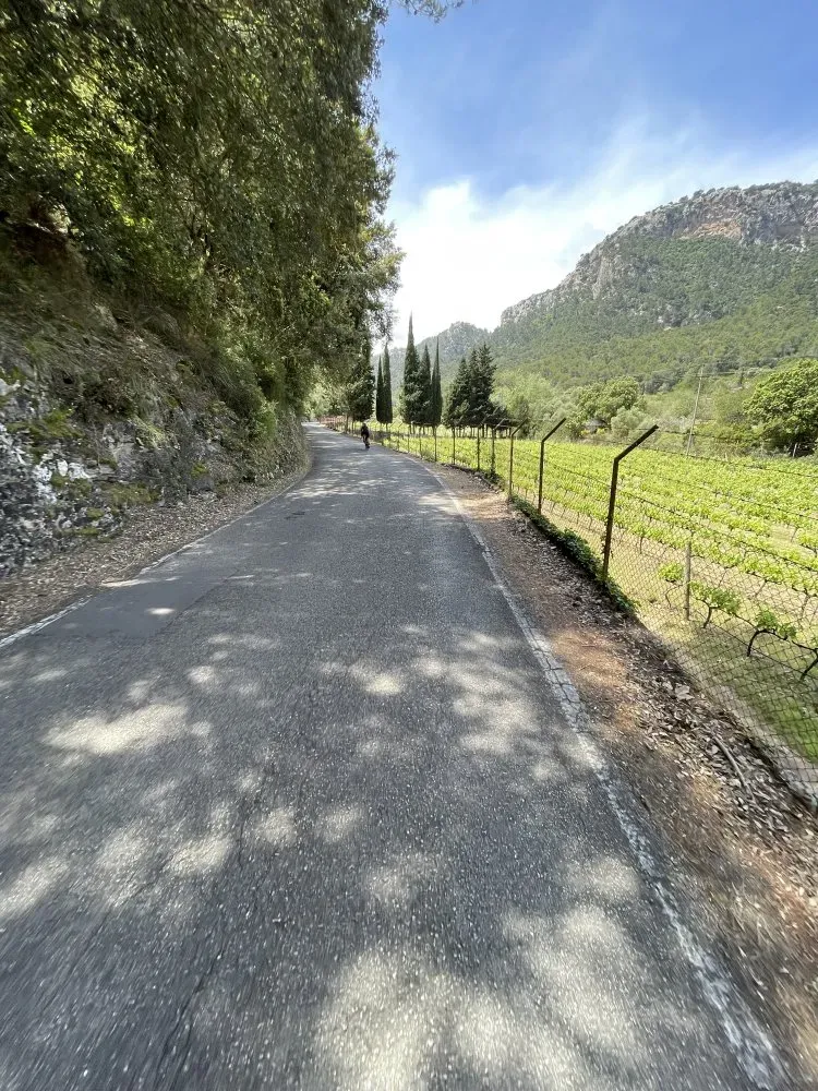 Mallorca coll des grau esporles puigpunyent forest ride