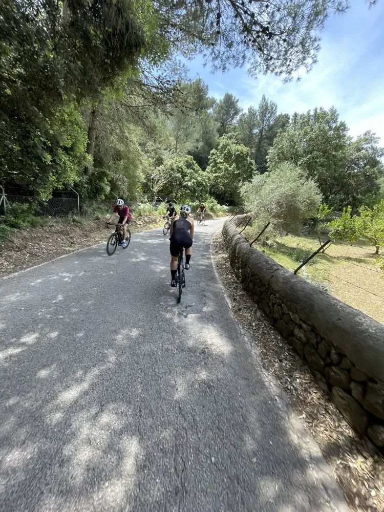 Cycling coll des grau quiet forest road image