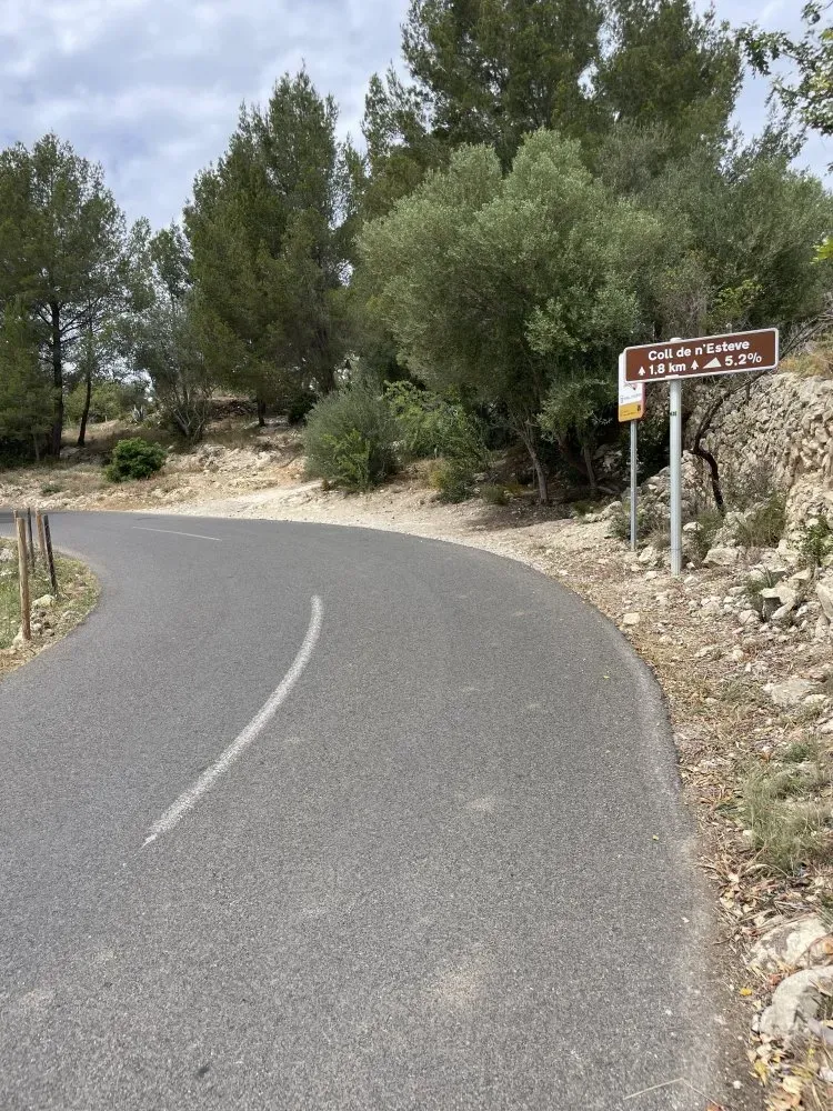Es capdella coll de nesteve mallorca punchy climb