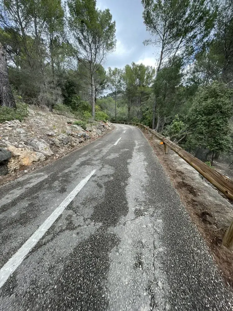 Galilea es capdella pine forest cycling route photo