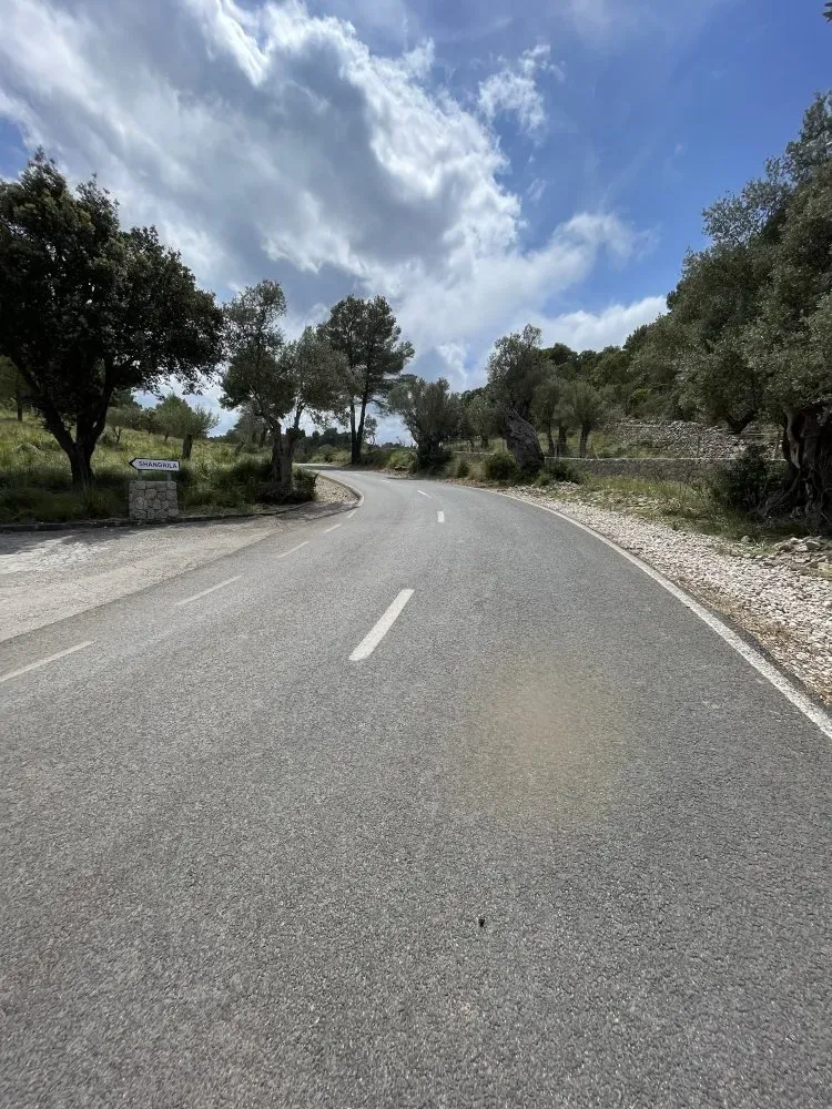 Valldemossa coll den claret historic town cycling tour